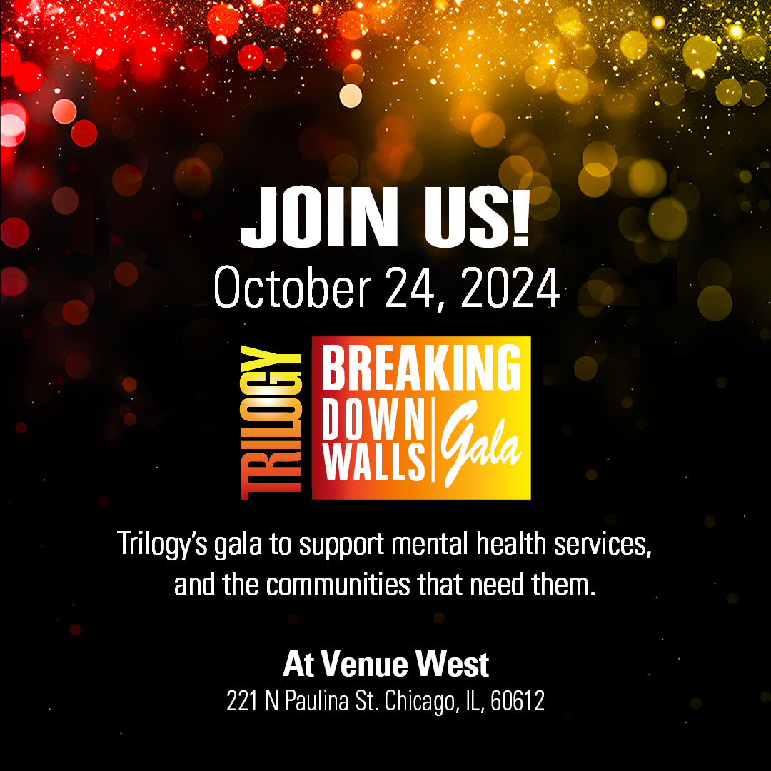 Breaking Down Walls Gala 2024